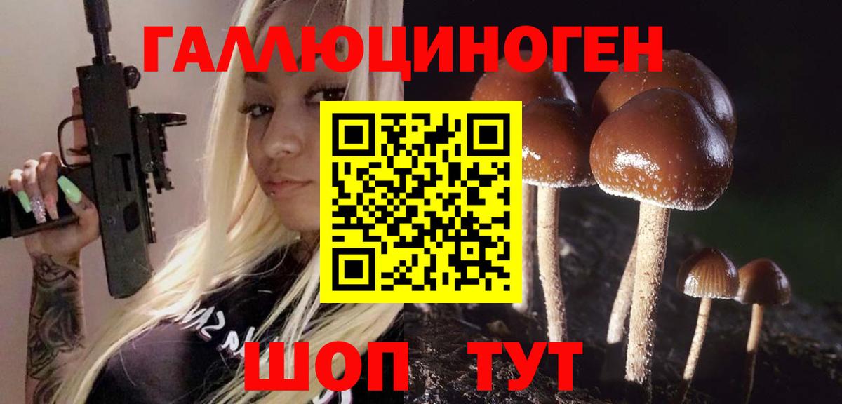 Галлюциногенные грибы GOLDEN TEACHER  Вход с VPN  Псилоцибиновые грибы ЛСД  Волжский 